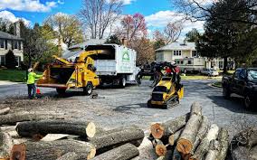 Best Lot and Land Clearing  in East Los Angeles, CA
